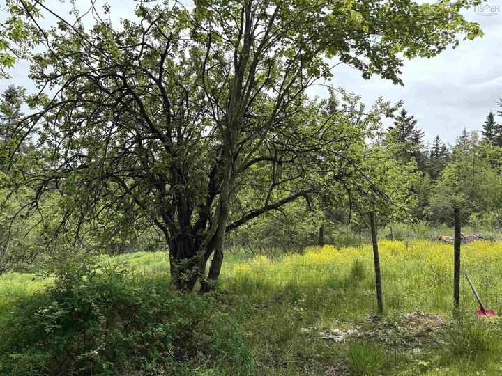 Property Photo: 14422 Hwy 224 Road NS B0N 2H0