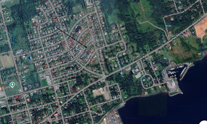 Property Photo:  169 Chestnut Street  NS B0K 1H0 