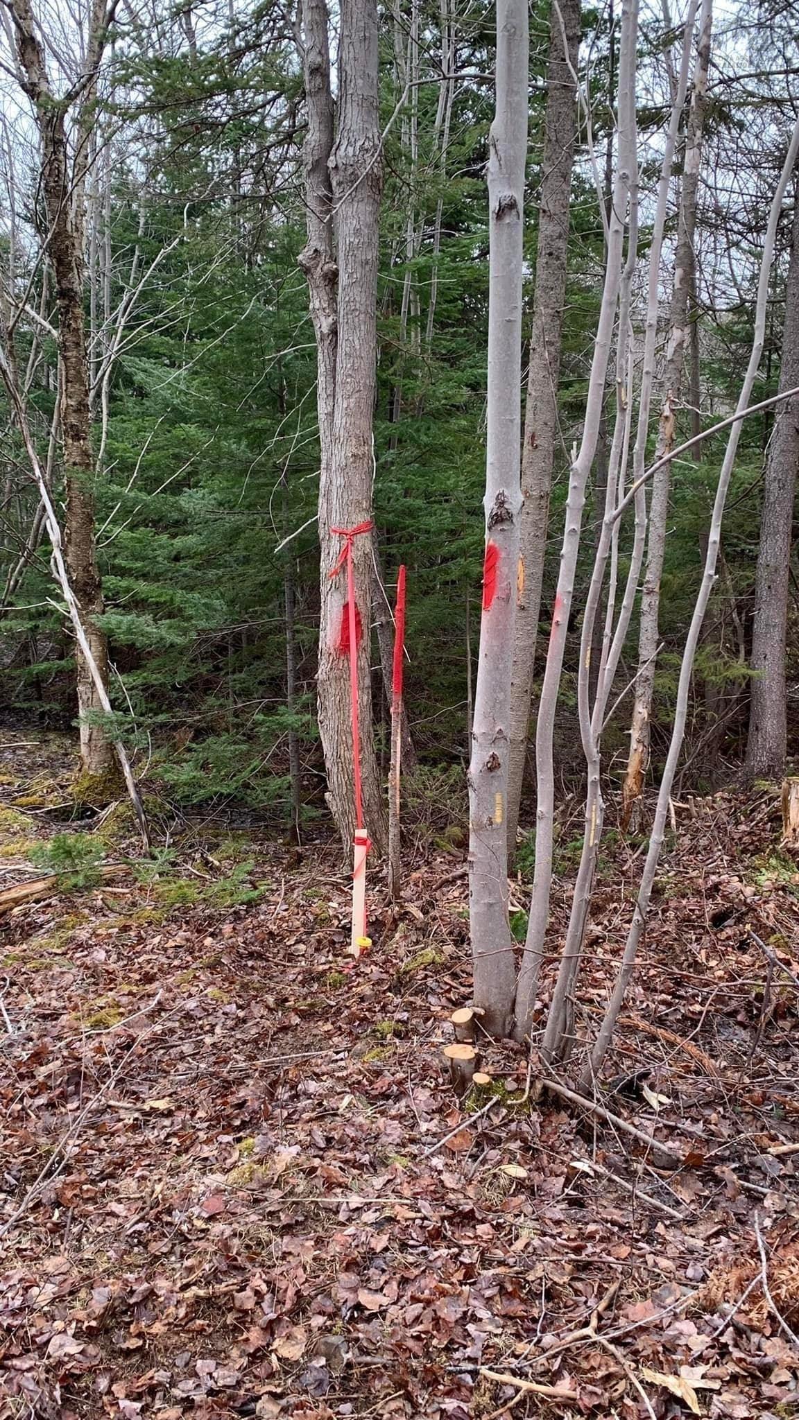 Property Photo:  Lot 24-3 Little Harbour Road  NS B2H 3T5 