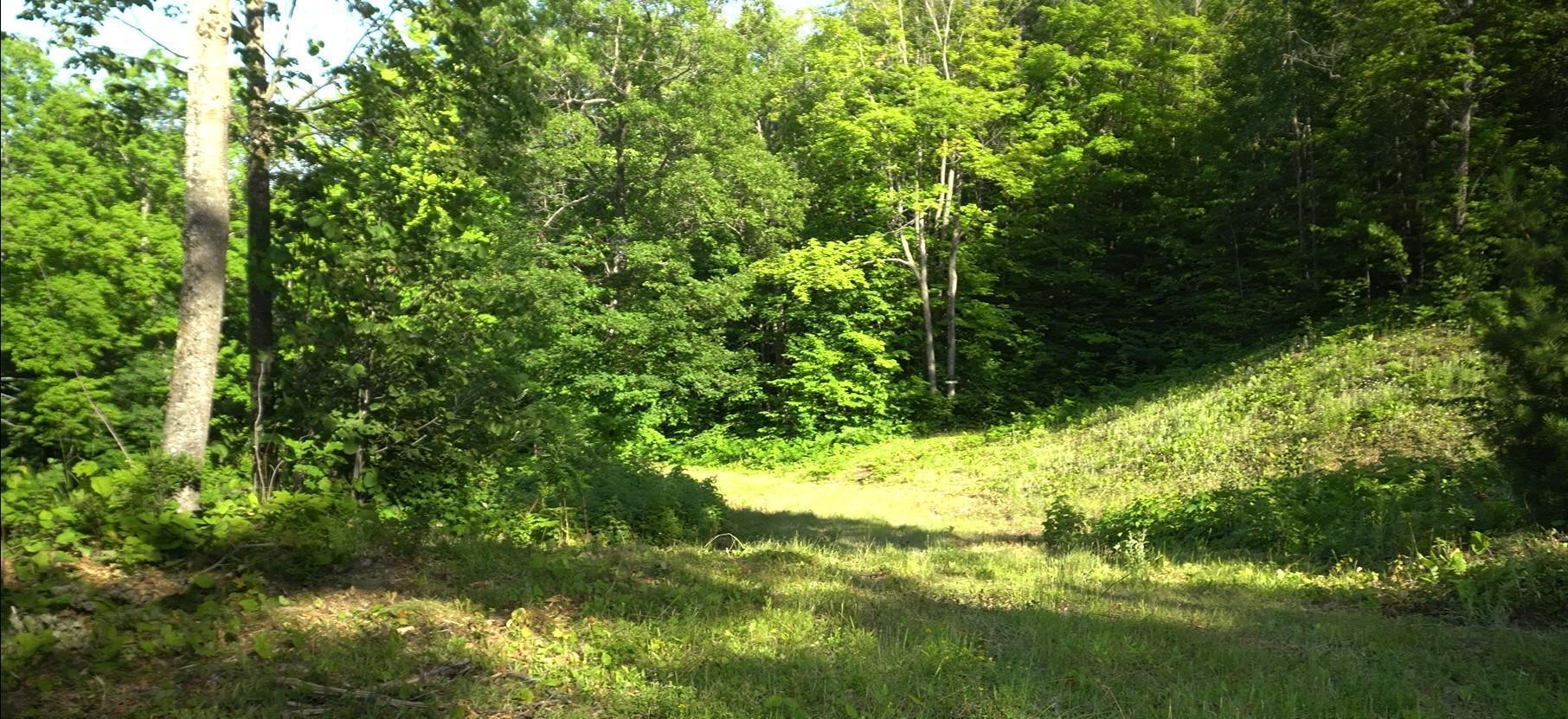 Property Photo: 83xxx - Lot 11 Ashwabay Road WI 54814