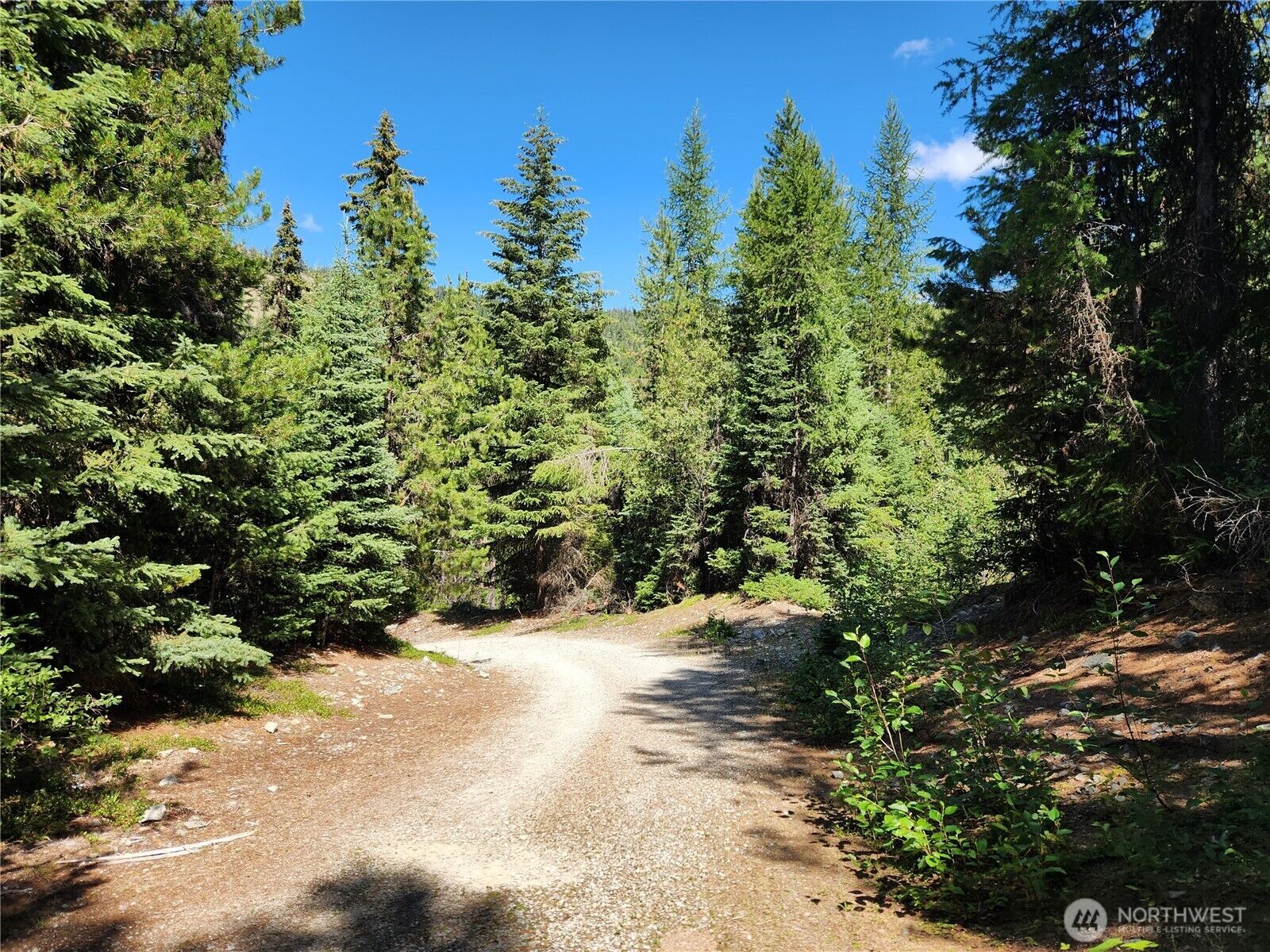 Property Photo: 0 Xx East Fork Cougar Creek Road WA 98859