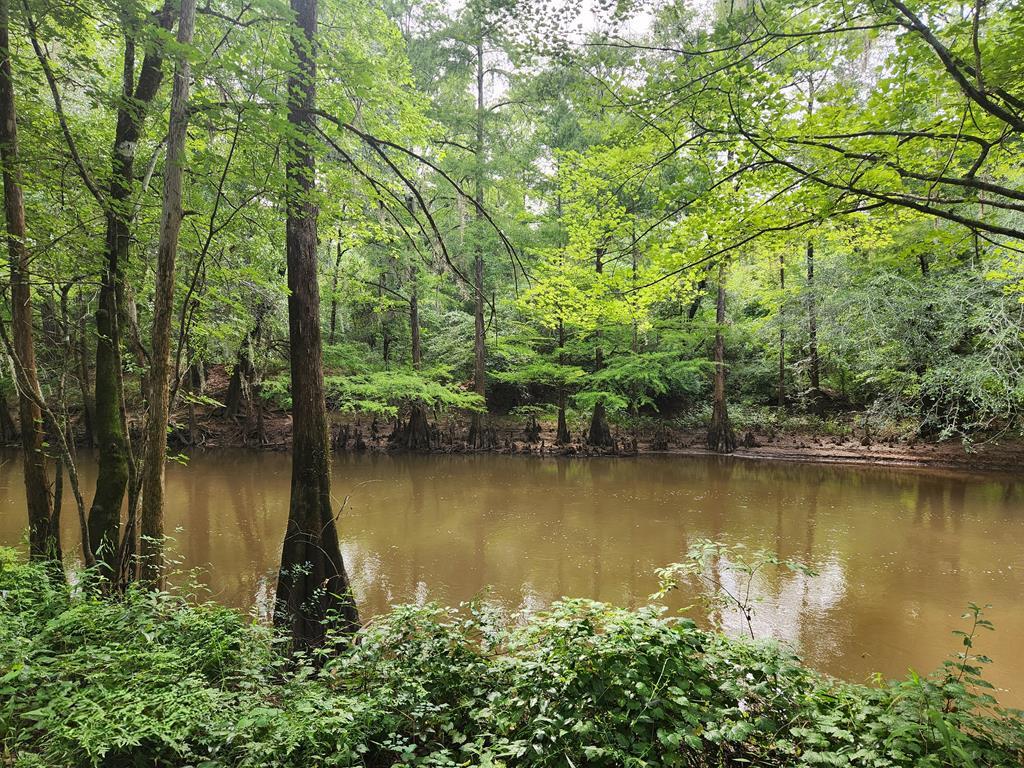 Property Photo: 183 Sandy Beach Road GA 31763