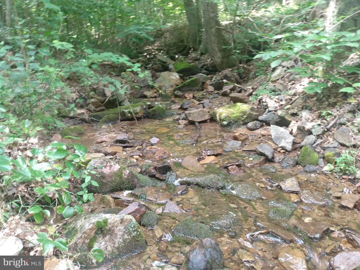 Property Photo:  578 Rouse Mountain Road  WV 25422 
