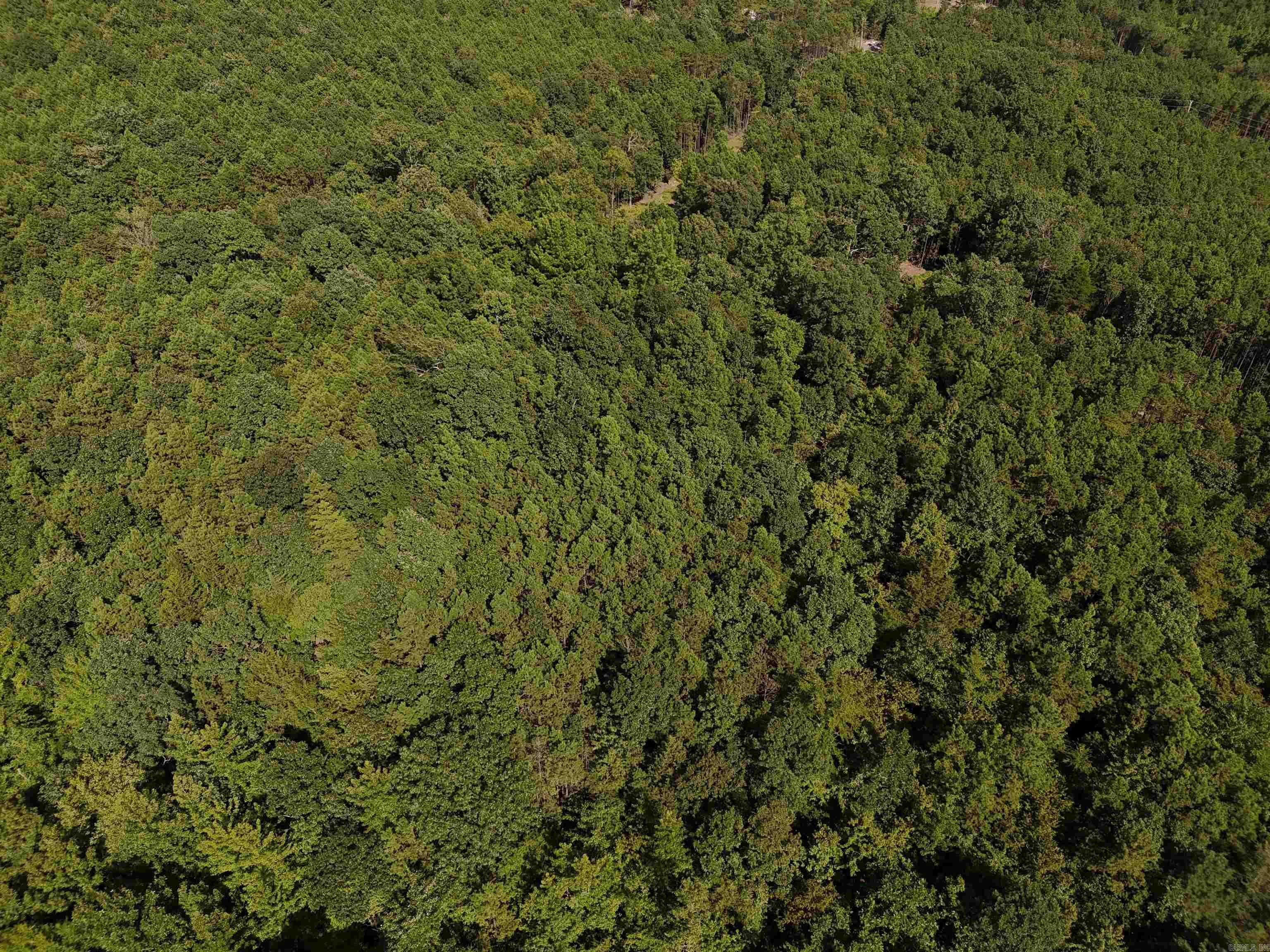 Property Photo:  Lot 18 Polk Road 78  AR 71953 