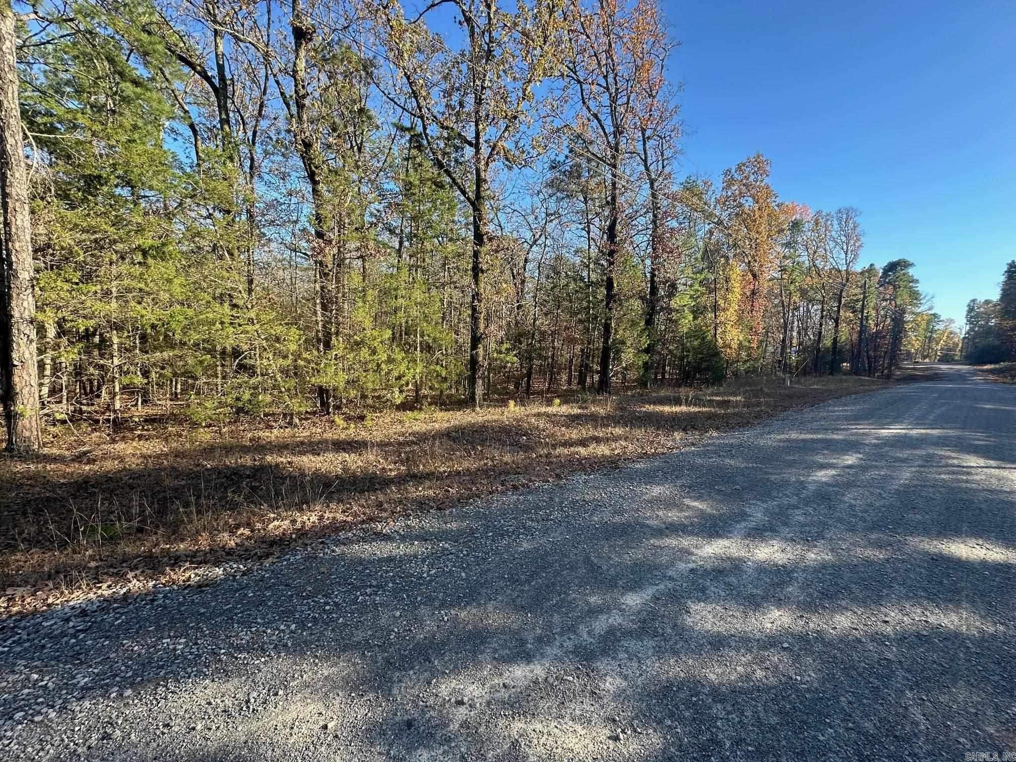Property Photo: 65 Jimmerson Road AR 72067