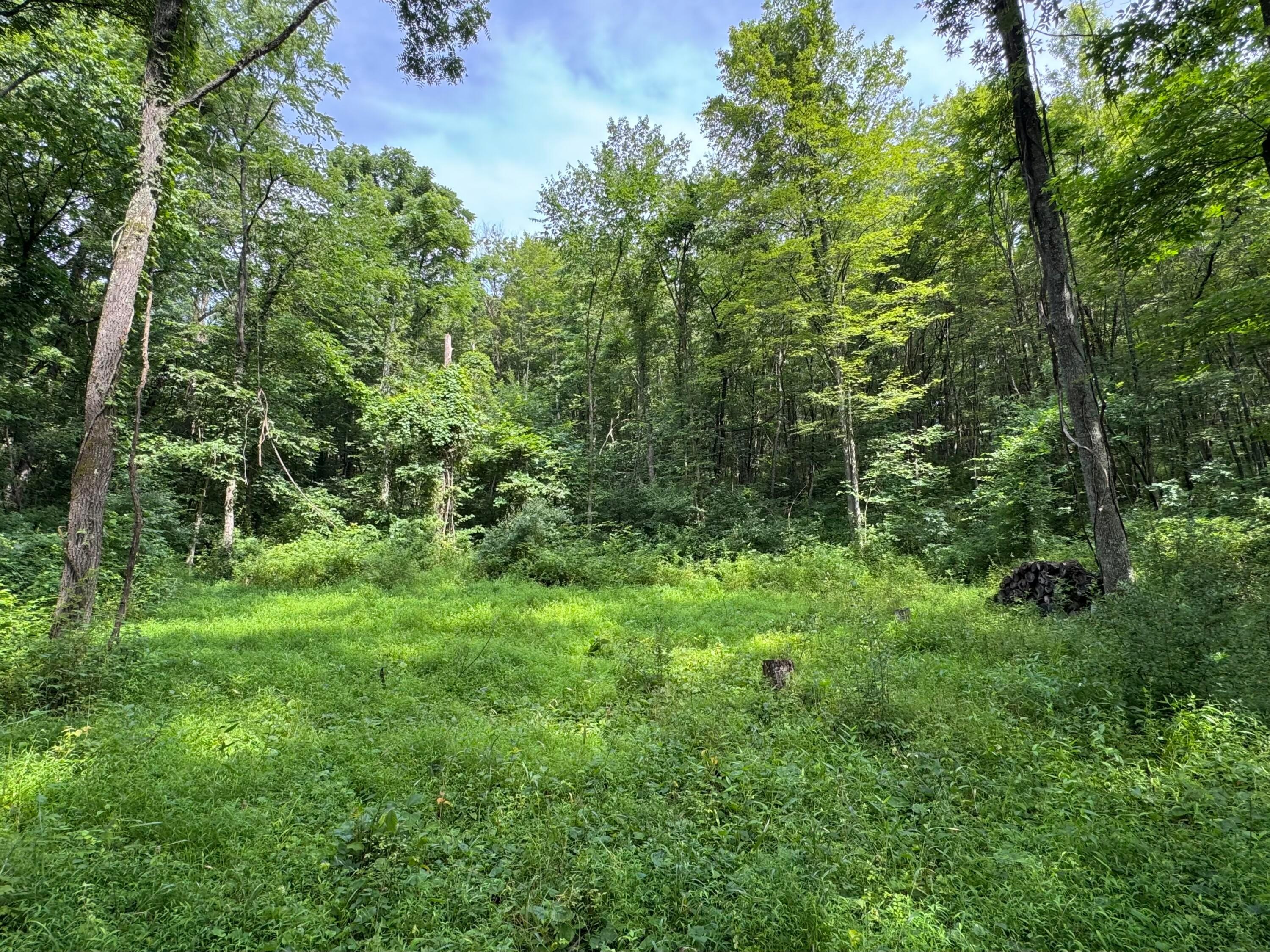 Property Photo:  0 Township Rd 437  OH 43821 
