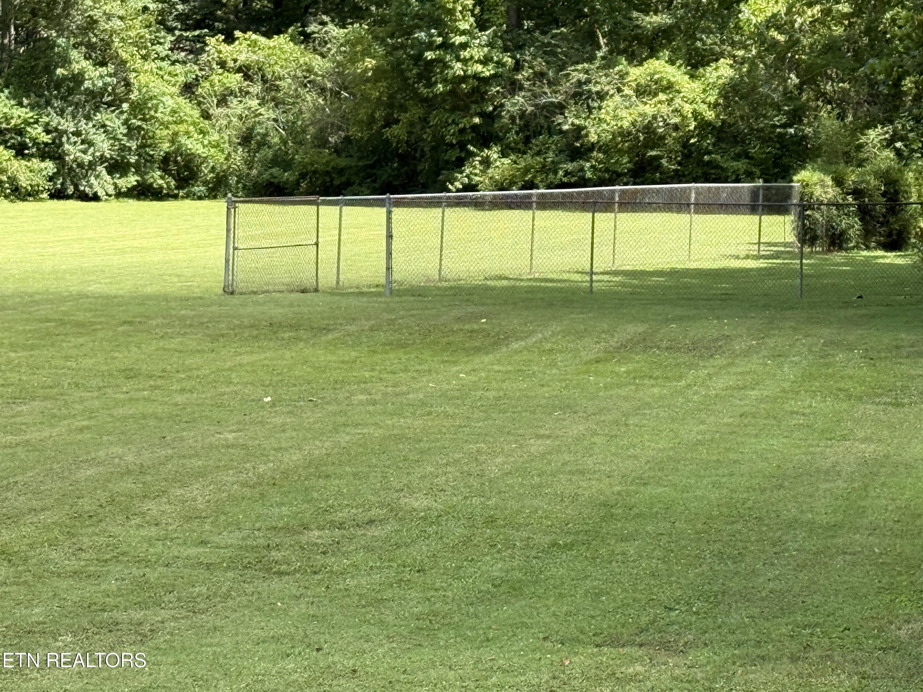 Property Photo: 137 Dogtown Rd Rd TN 37880