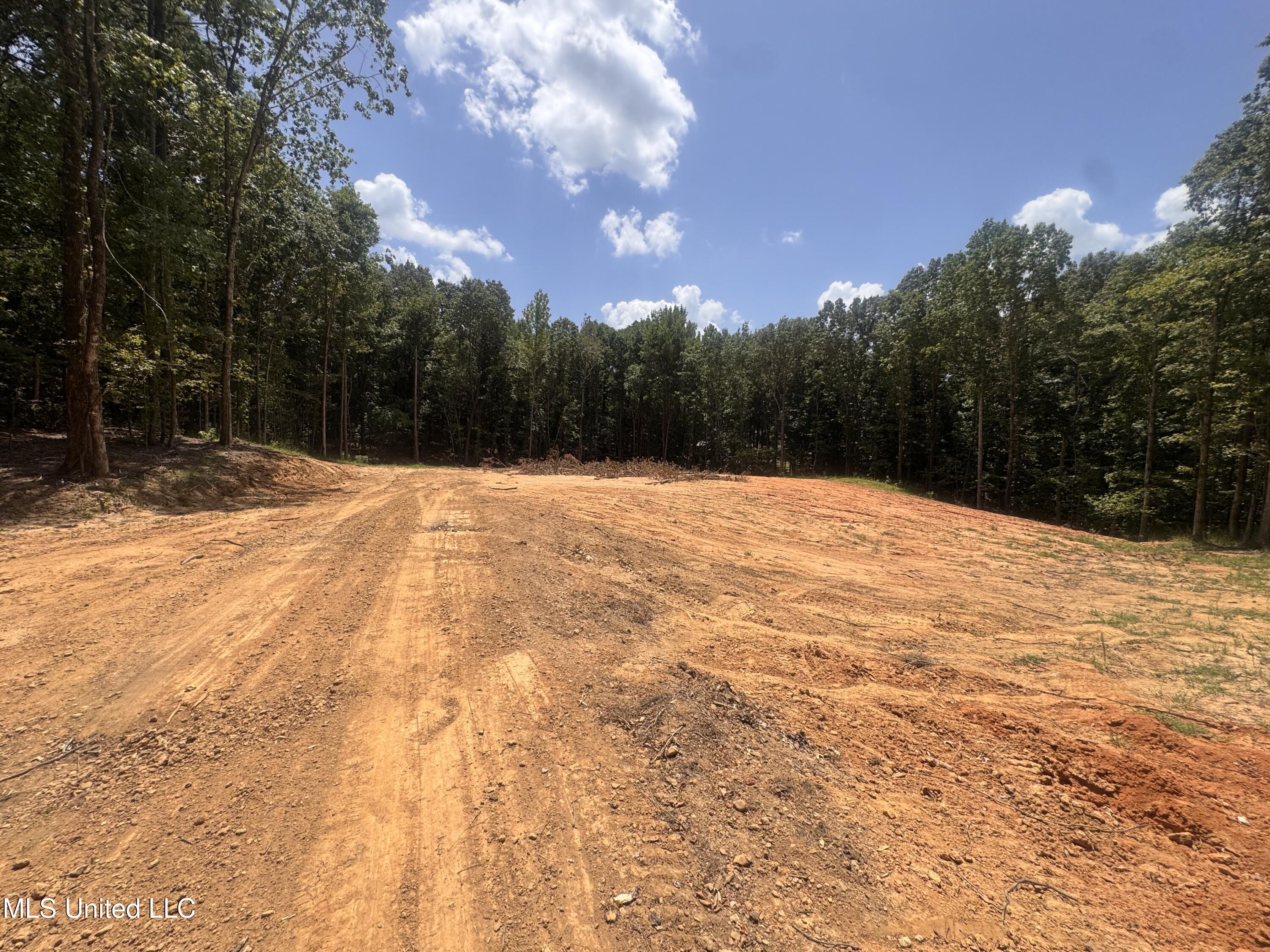 Property Photo:  25 Leonard Lane  MS 38635 