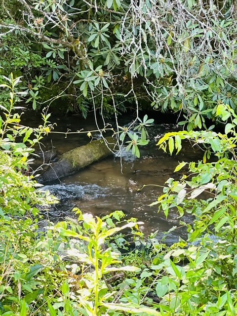 Property Photo: Lot 62 &Amp Creek Lot A, Stone Ridge Falls Subdivision NC 28906