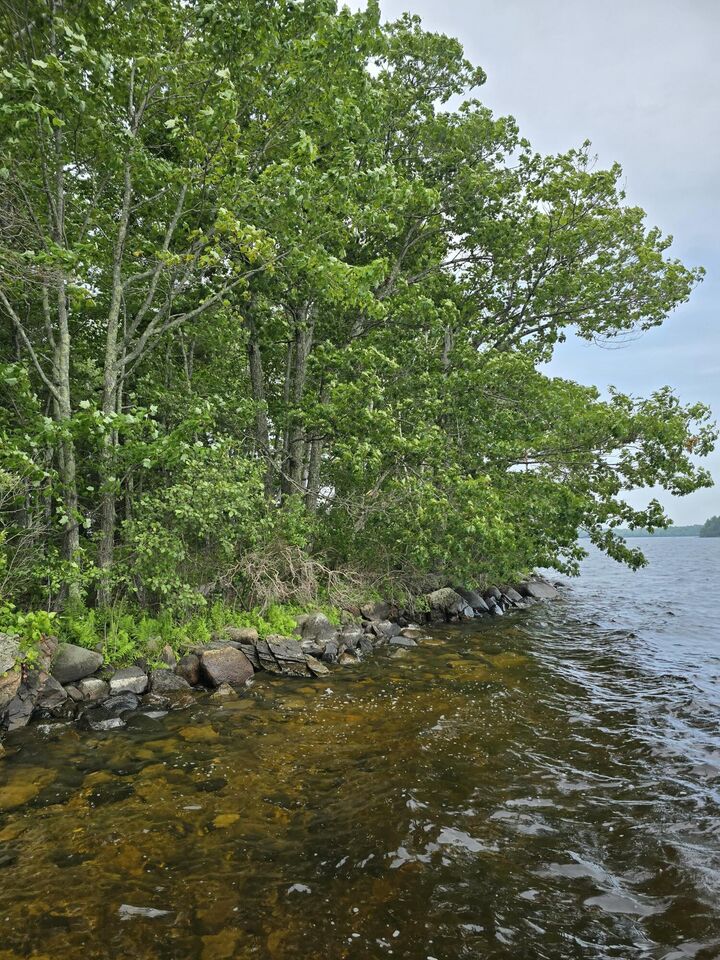 Property Photo: 00 Mouse Island ME 04468
