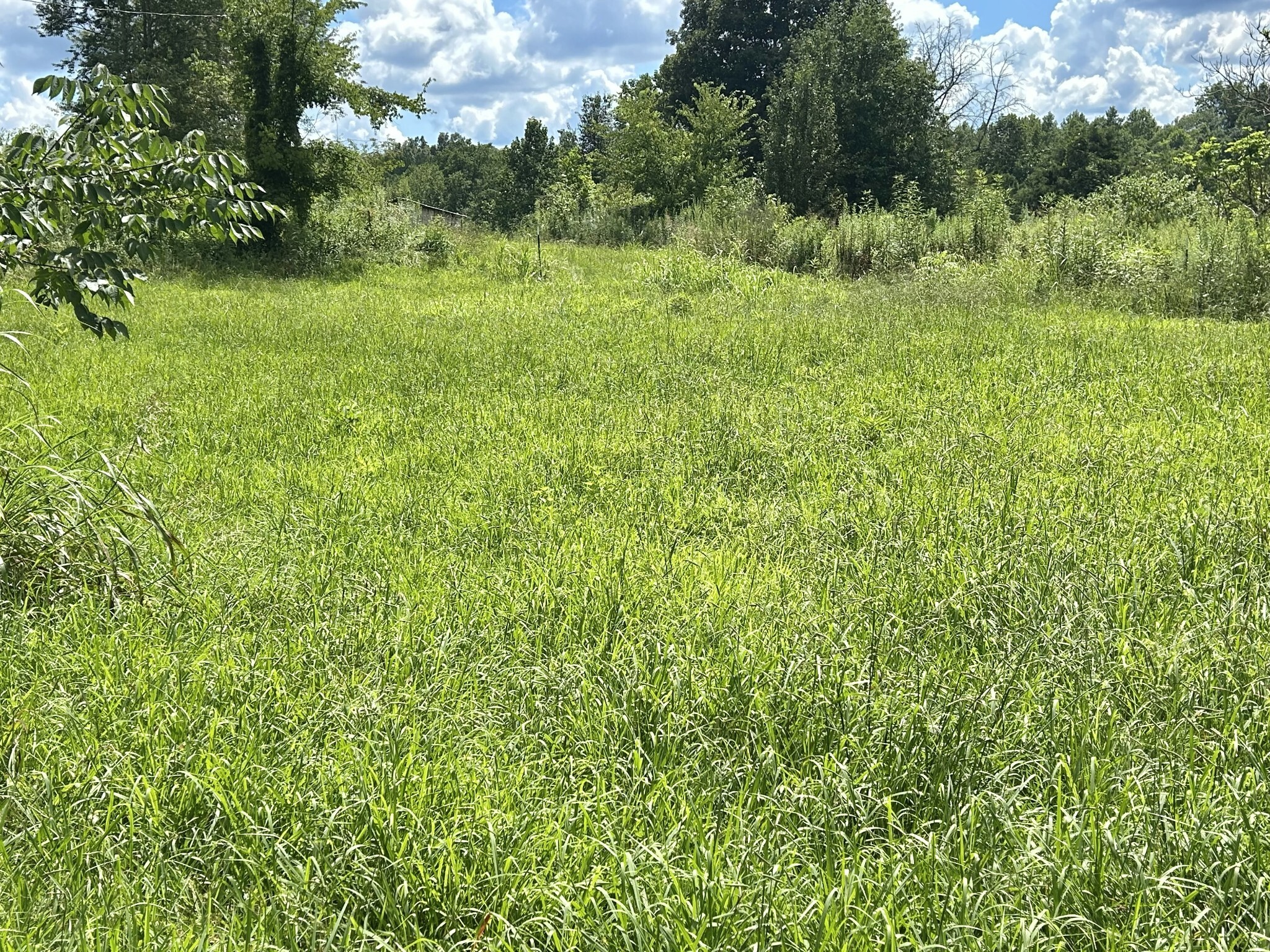 Property Photo: 3773 Griffin Rd TN 37352