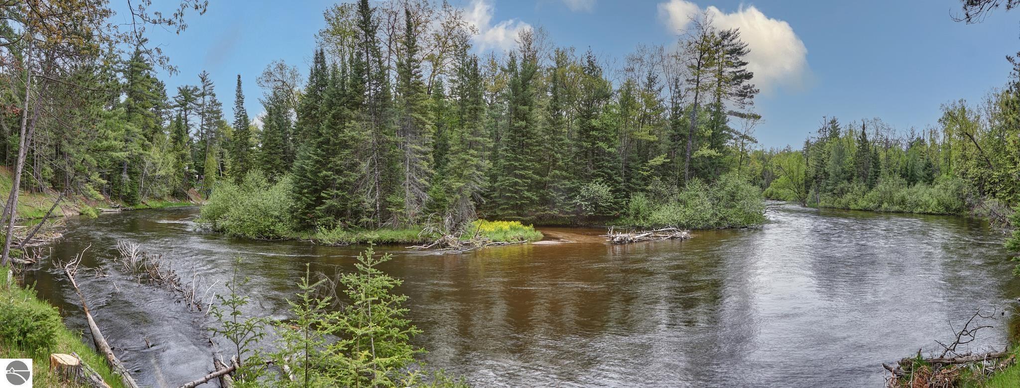 Property Photo: 11208 Red Dog Trail MI 49738