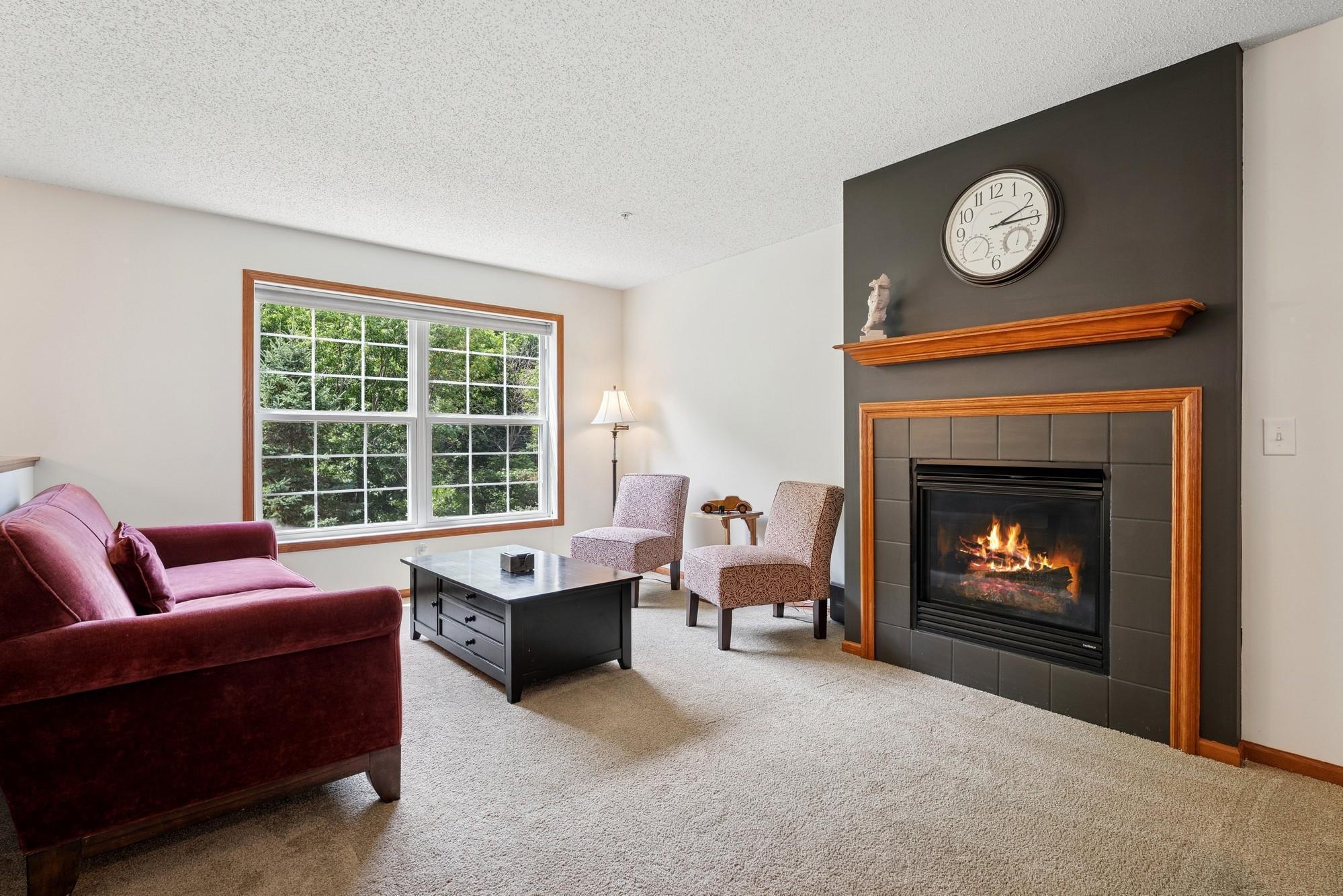 Property Photo: 933 Ledgestone Drive MN 55115