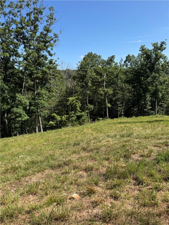0 Tbd Beaver Hollow Road  Garfield AR 72732 photo