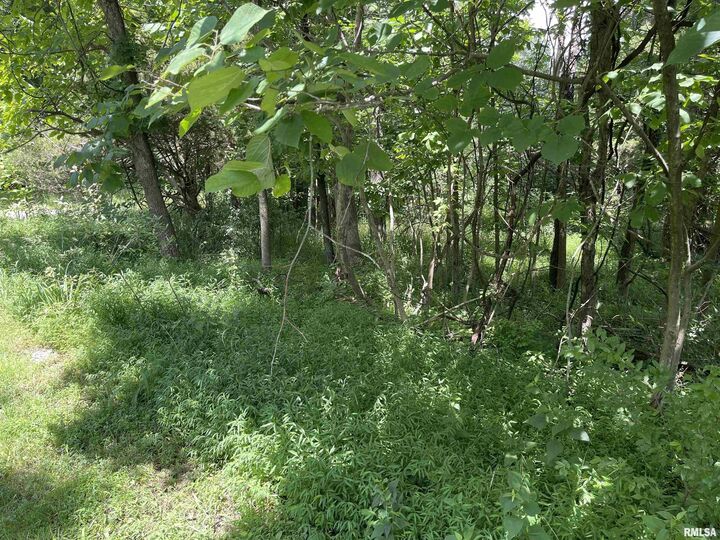 Property Photo: Lot 246 Mark Drive IL 62939