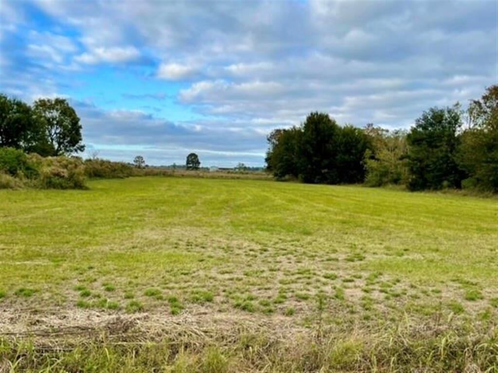Property Photo:  Ardoin Cove Road  LA 70650 