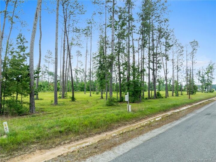 Property Photo: 0 Duke Hollingsworth Road Tract 4 LA 70657