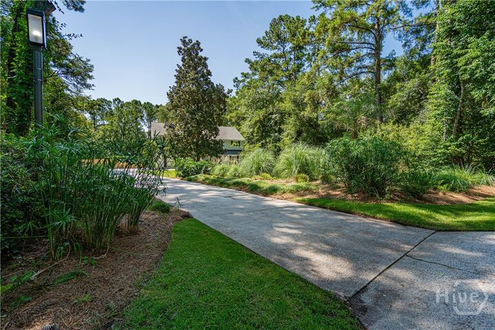 Property Photo:  146 Palmetto Drive  GA 31326 