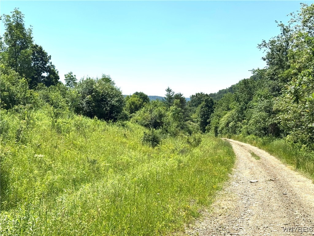 Property Photo: Gile Hollow Road NY 14743