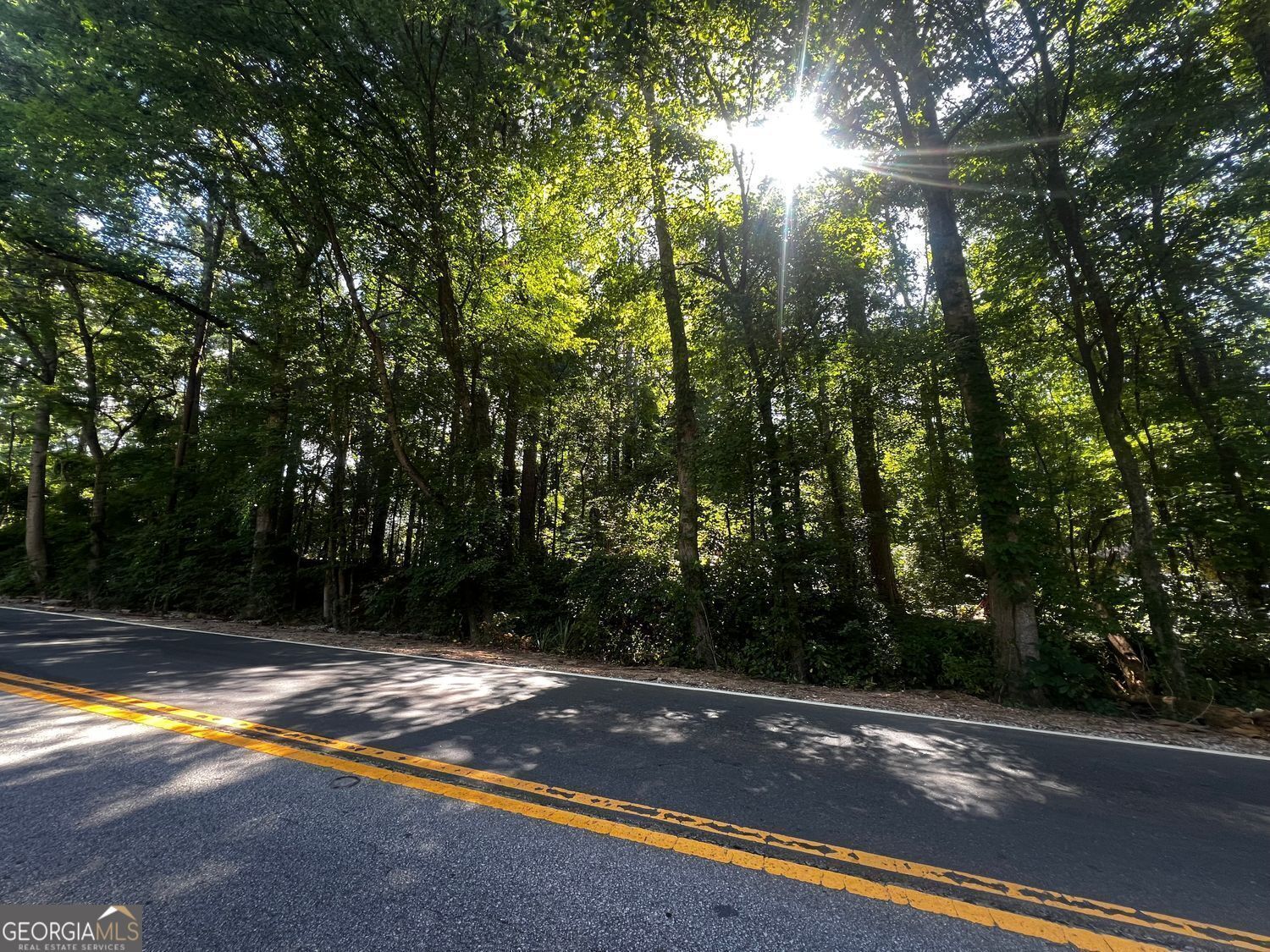 Property Photo:  4074 Panola Road  GA 30038 