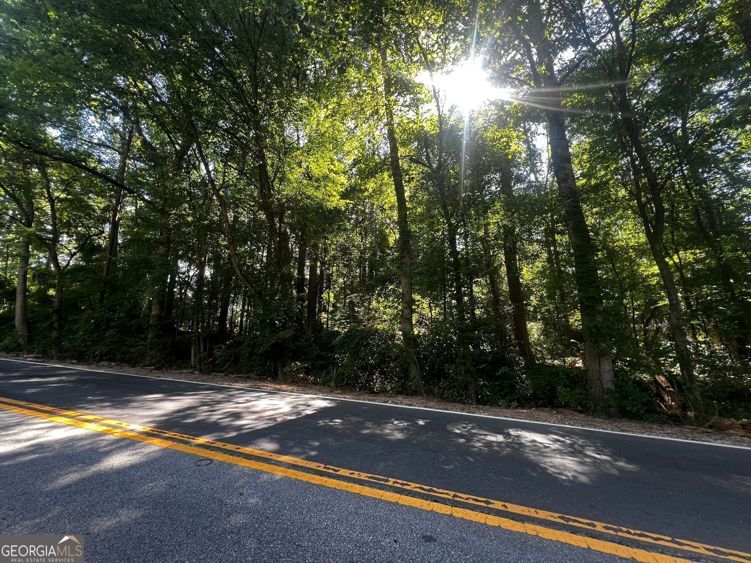 Property Photo:  4074 Panola Road  GA 30038