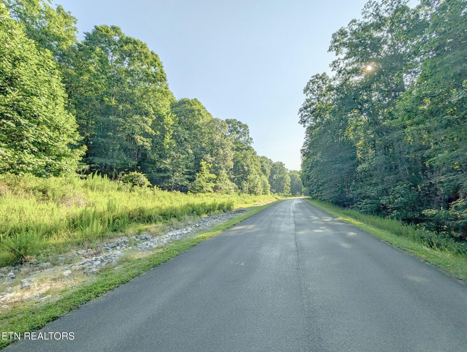 Property Photo:  Emerald Pointe - Lot 7  TN 37854 