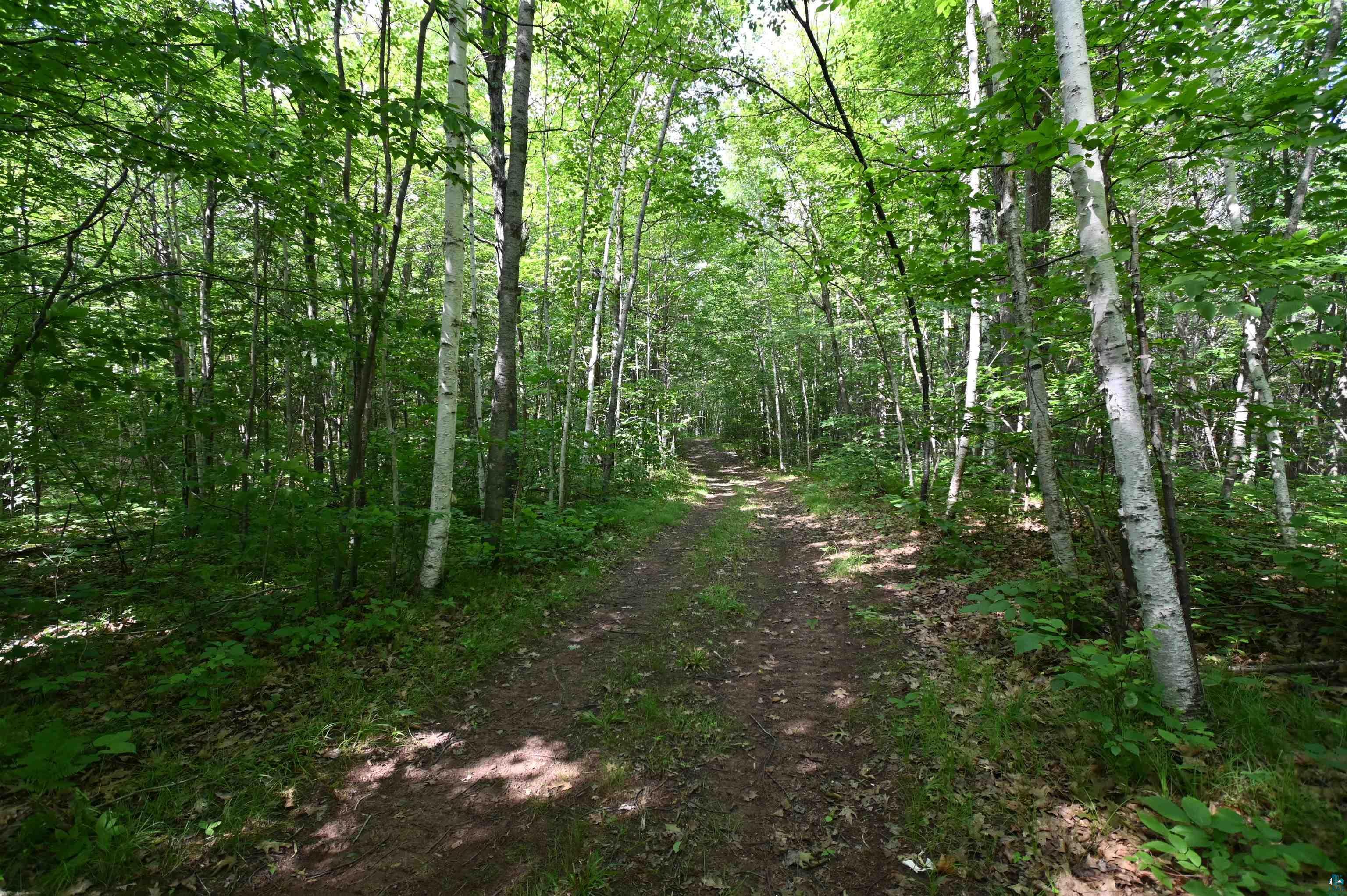 Property Photo:  Xxx Bellwood Pit Rd  WI 54849 