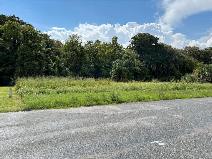 Property Photo:  Redtree Drive  FL 34748 