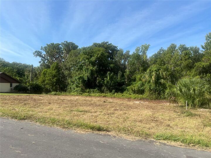 Property Photo:  Redtree Drive  FL 34748 