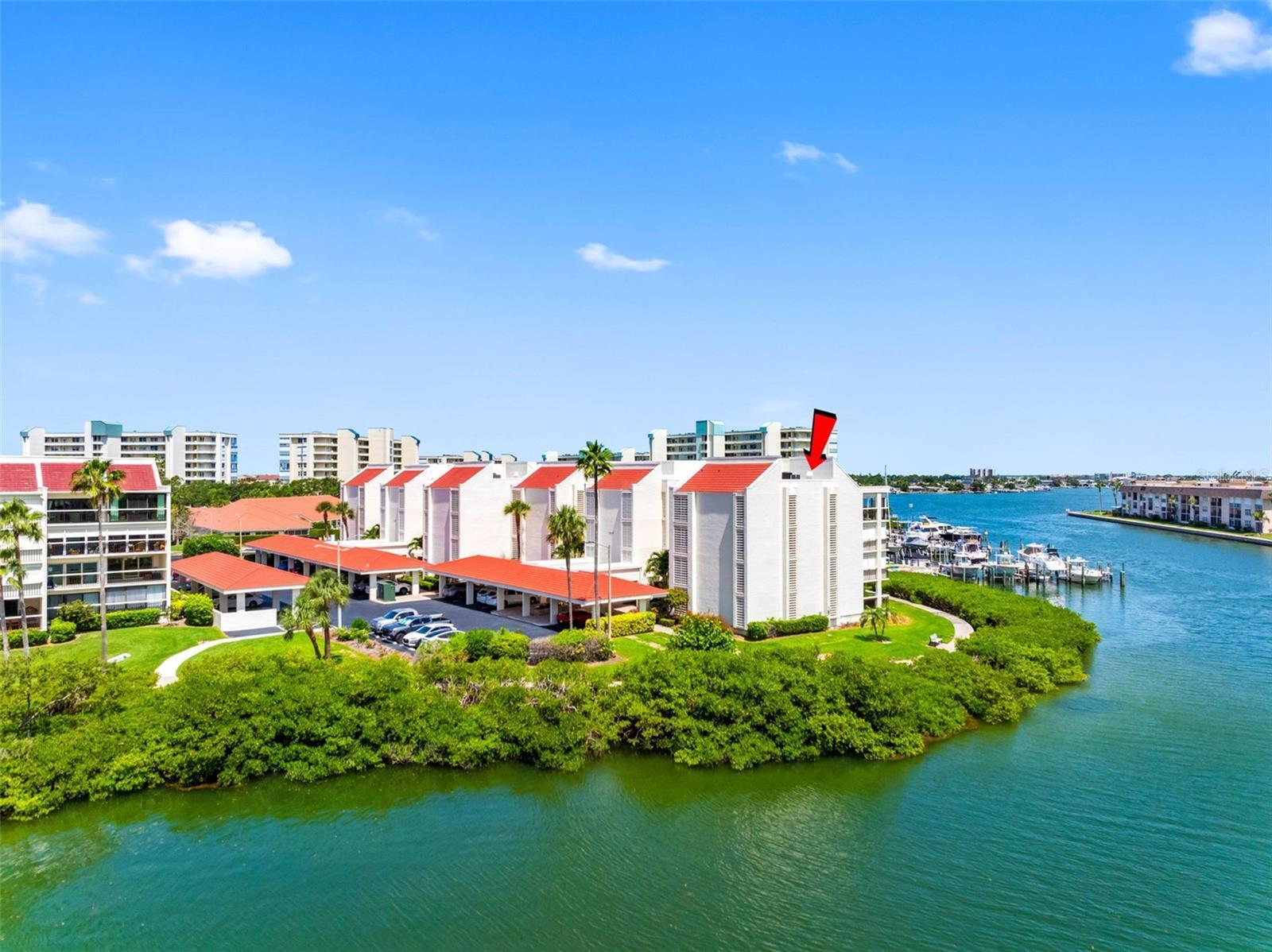 Property Photo: 7903 Sailboat Key Boulevard S 401 FL 33707