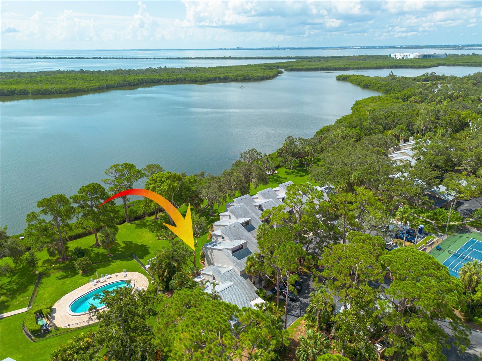Property Photo: 1111 N Bayshore Boulevard B11 FL 33759