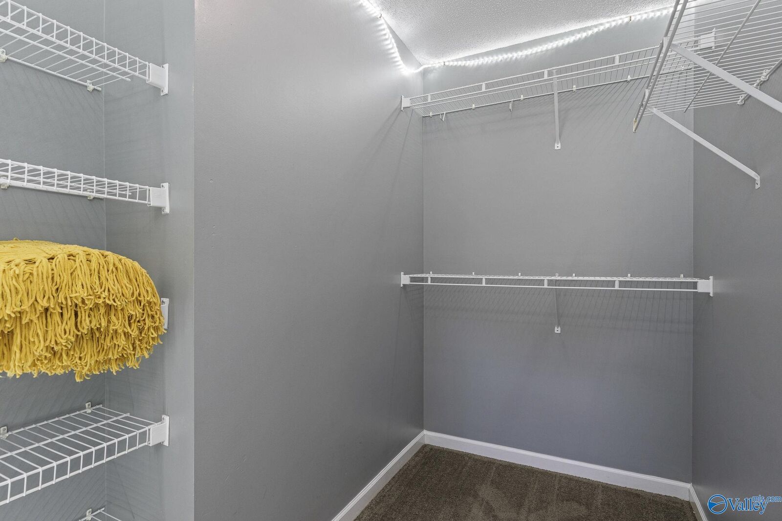 Property Photo:  424 Banyon Road  AL 35773 