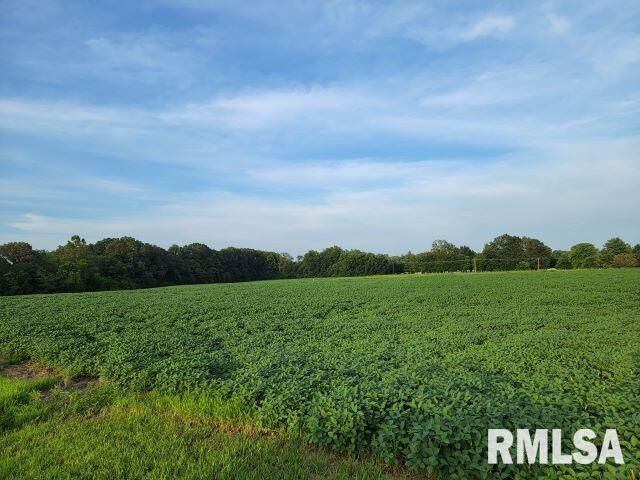 Property Photo:  000 Main Street  IL 62924 