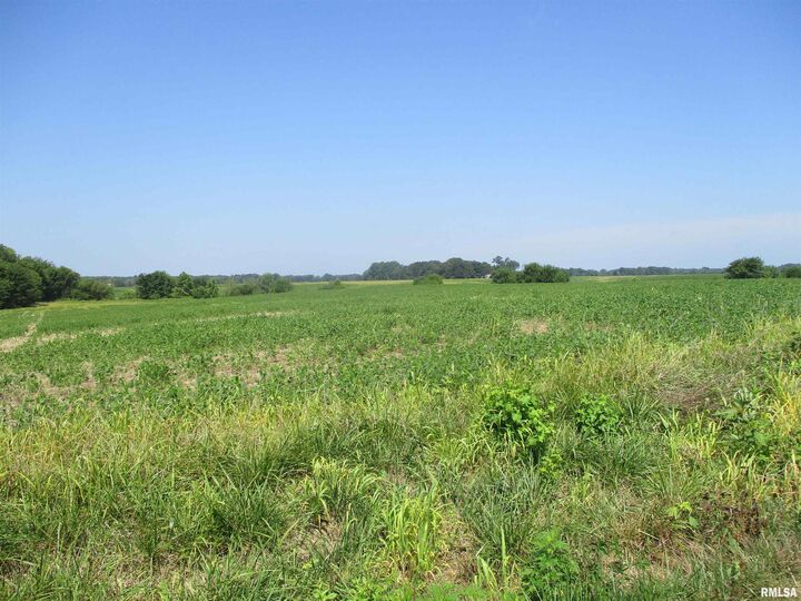 Property Photo: 0000 Bean Road IL 62897