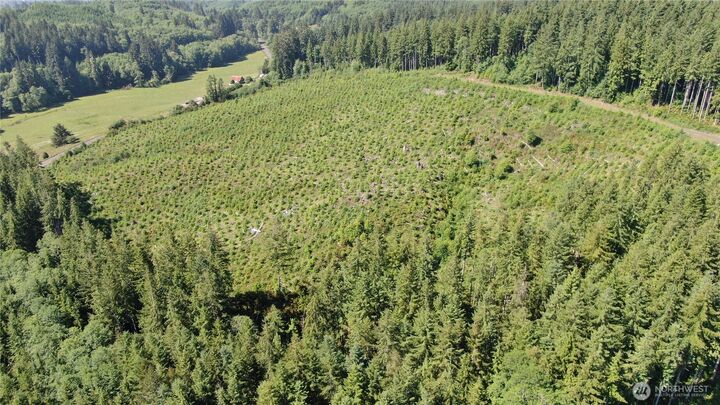 Property Photo: 0 Butte Creek Road WA 98577