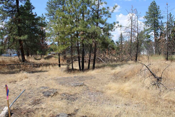 Property Photo:  Xxx S Chapman Rd  WA 99025 
