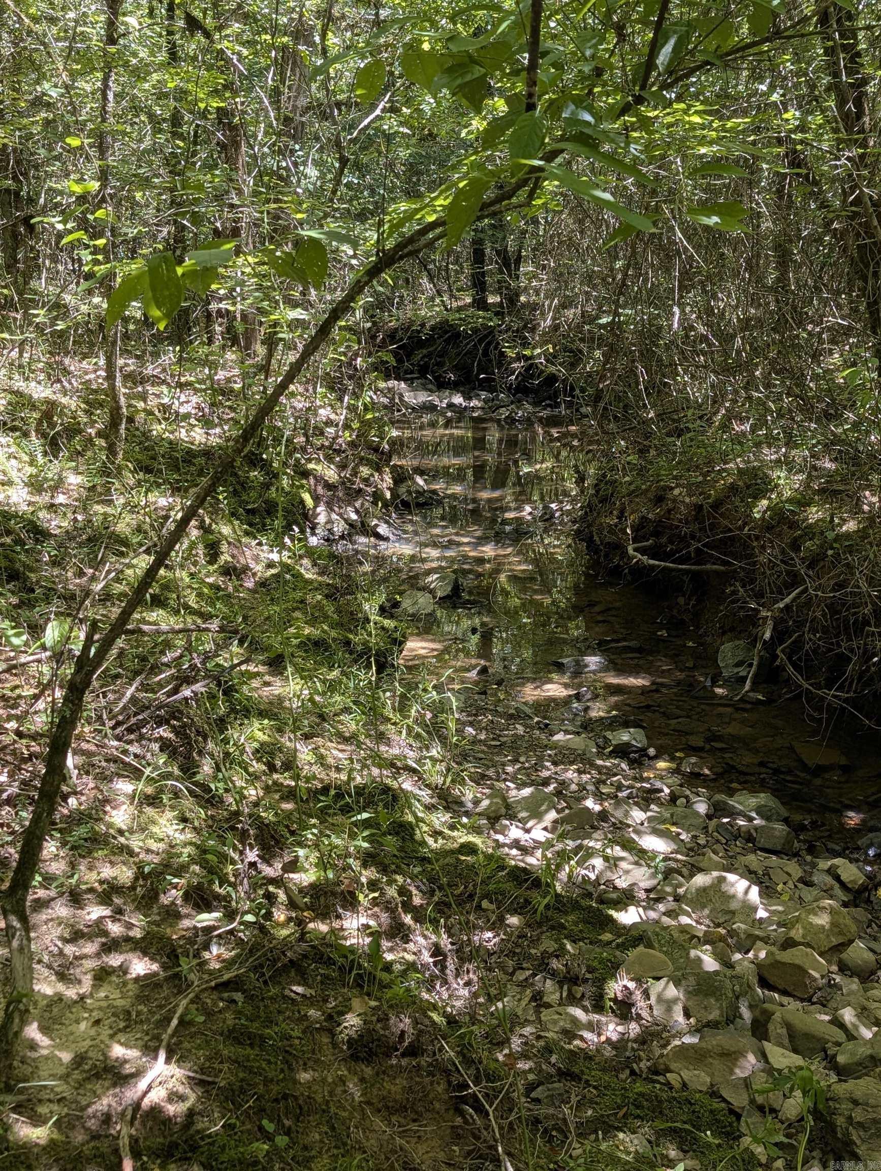 Property Photo:  Unk Polk Road 48 And Polk 95  AR 71953 