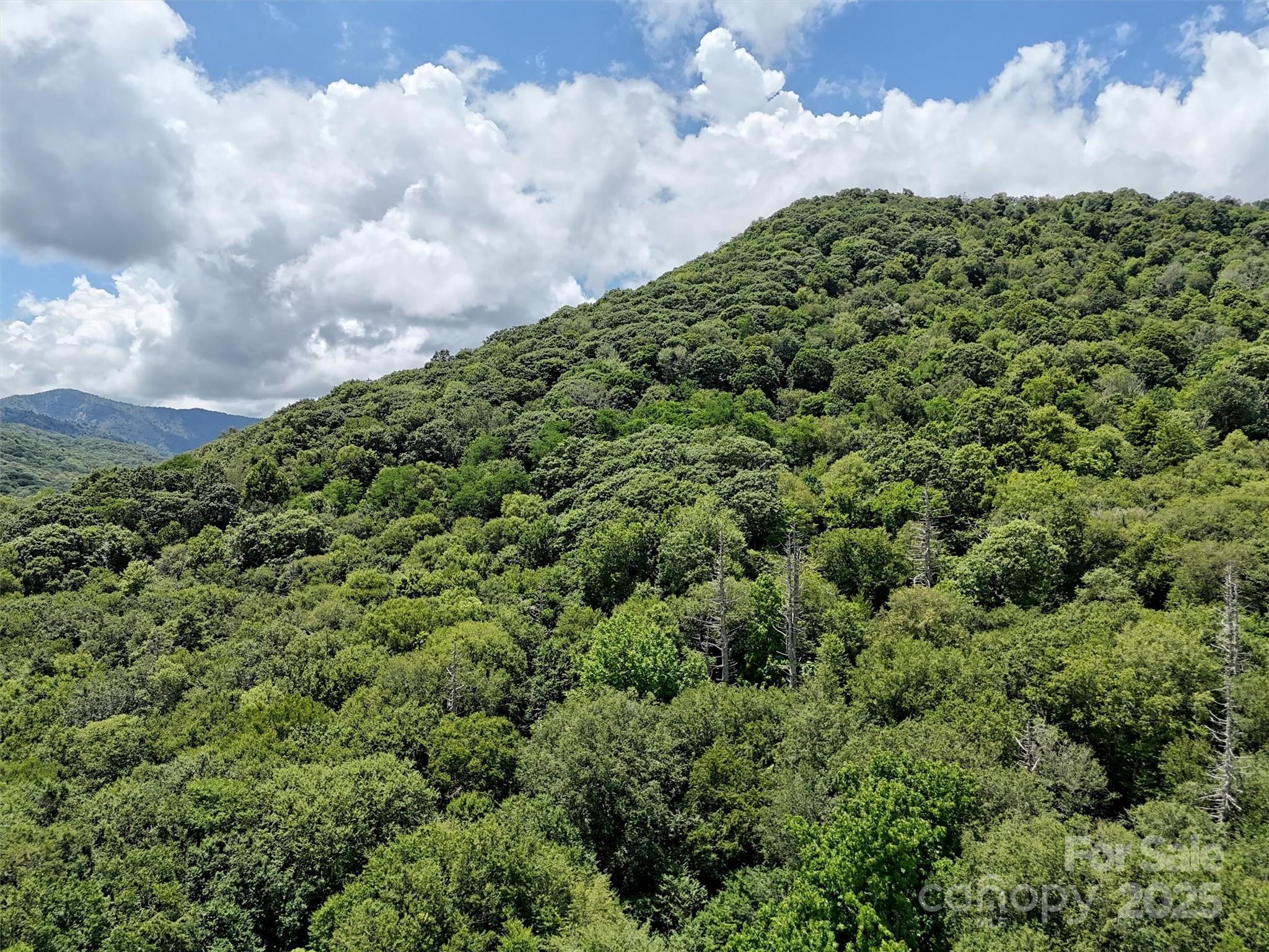 Property Photo:  Lot #60 Yonder Trail  NC 28751 