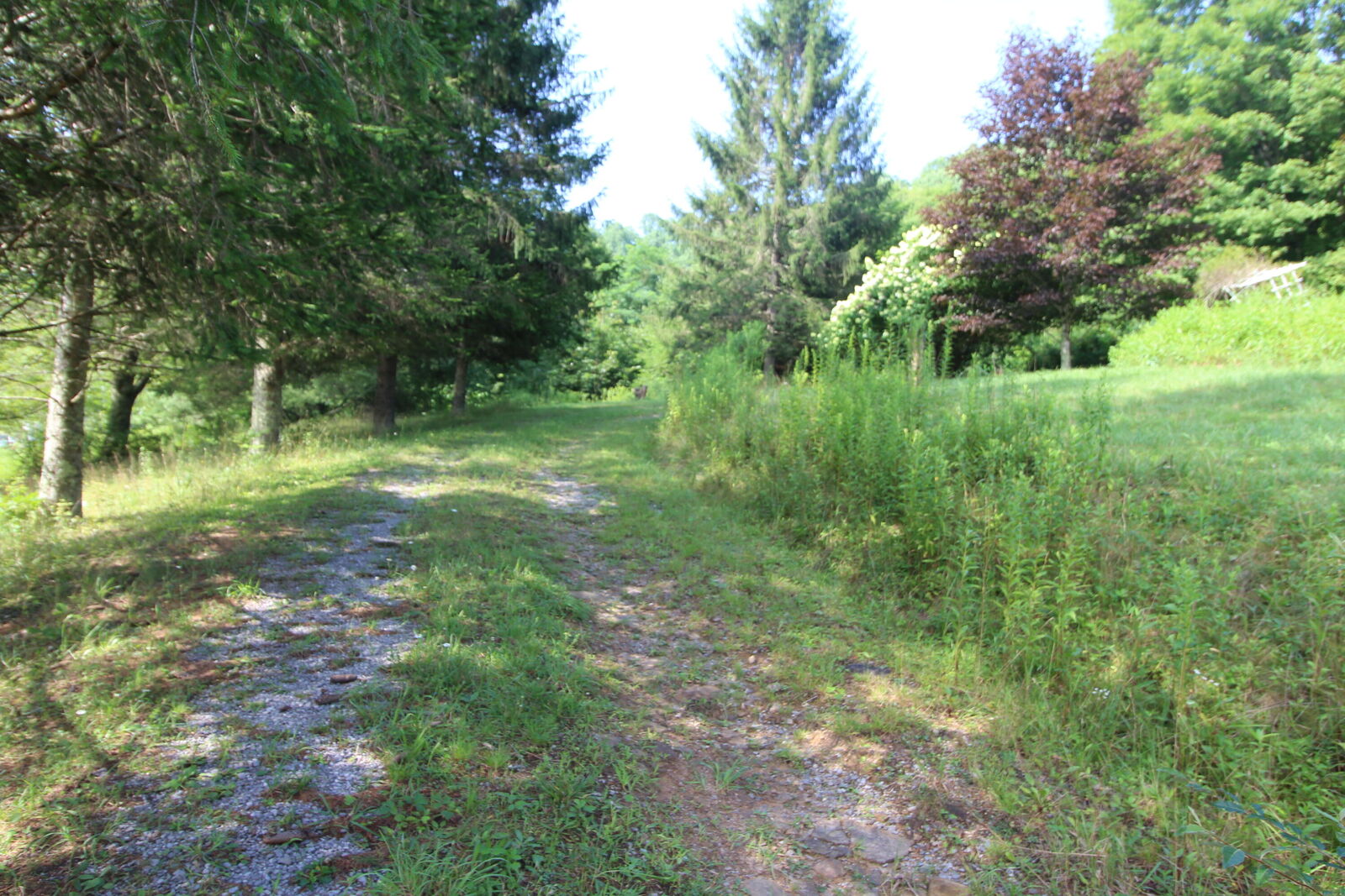 Property Photo: 0 James River &Amp Kanawha Turnpike WV 25962