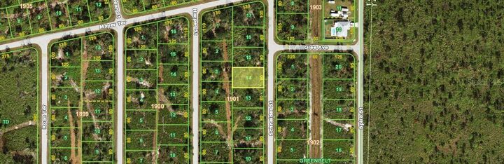 Property Photo: 4363 Schneider Street FL 33981
