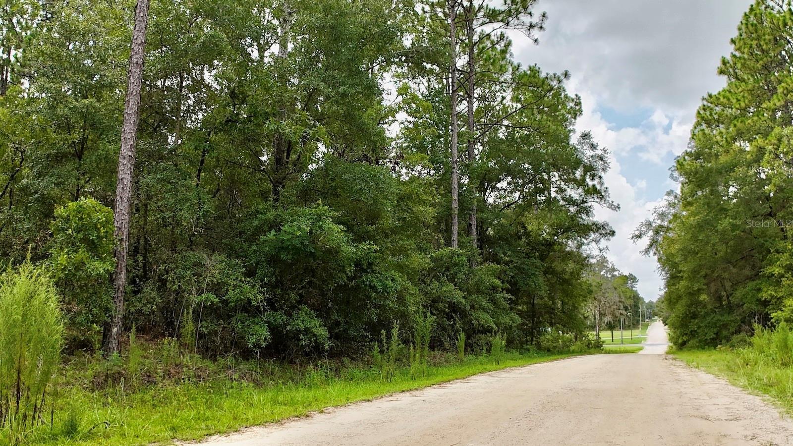 Property Photo:  SW 52 Lane Road 8  FL 34481 