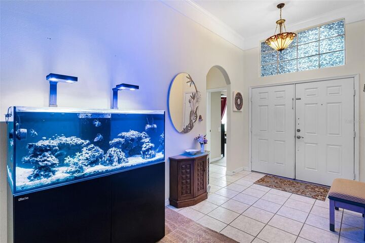 Property Photo: 6315 Clearmeadow Court FL 34786