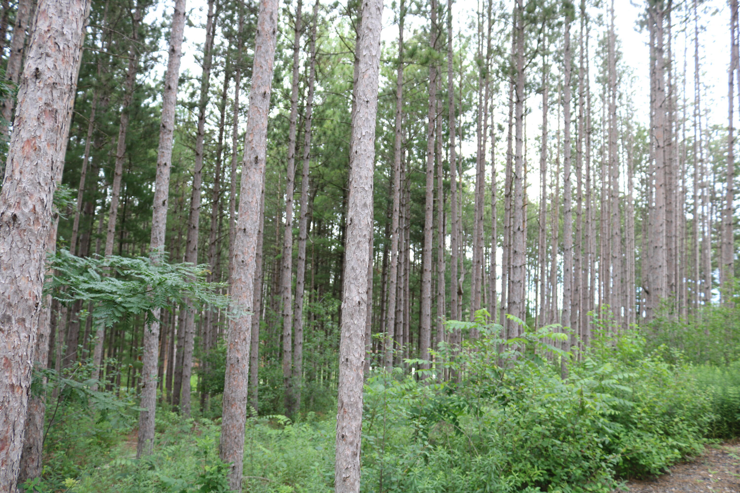 Property Photo: 7855 Indian Lore Rd 26 WI 53090