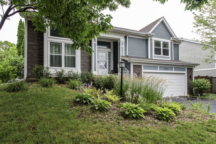 Property Photo:  263 Pembrook Lane  IL 60060 