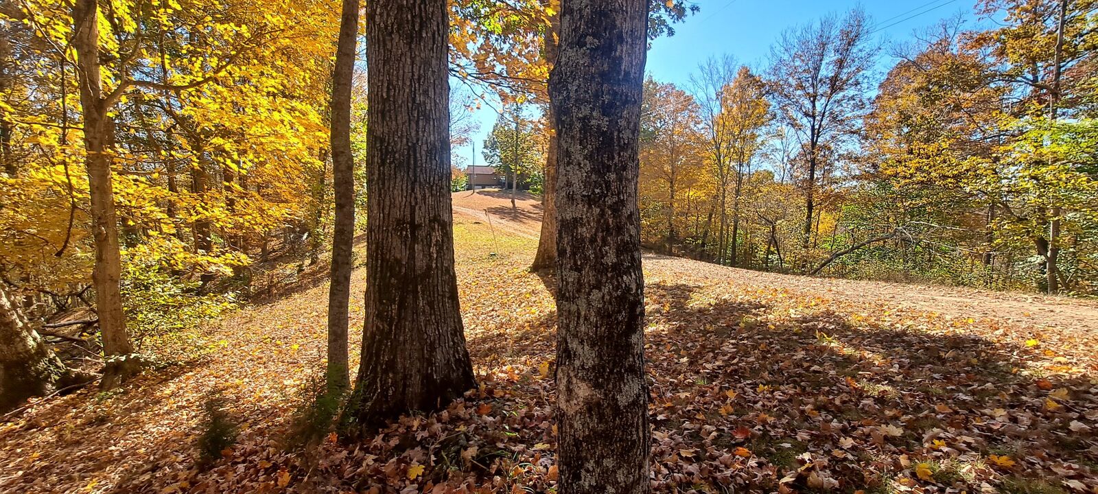 Property Photo: 1027 Garland Hollow Rd TN 37143
