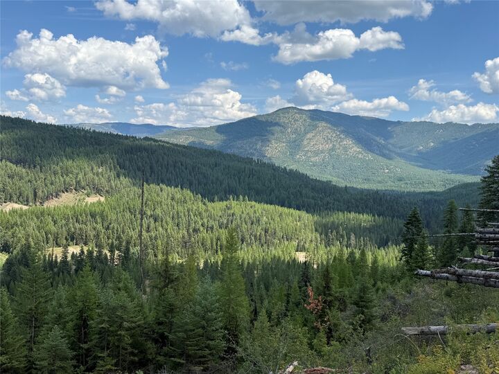 Property Photo:  Tbd Lot 10 North Schreiber Lake Subdivision  MT 59923 