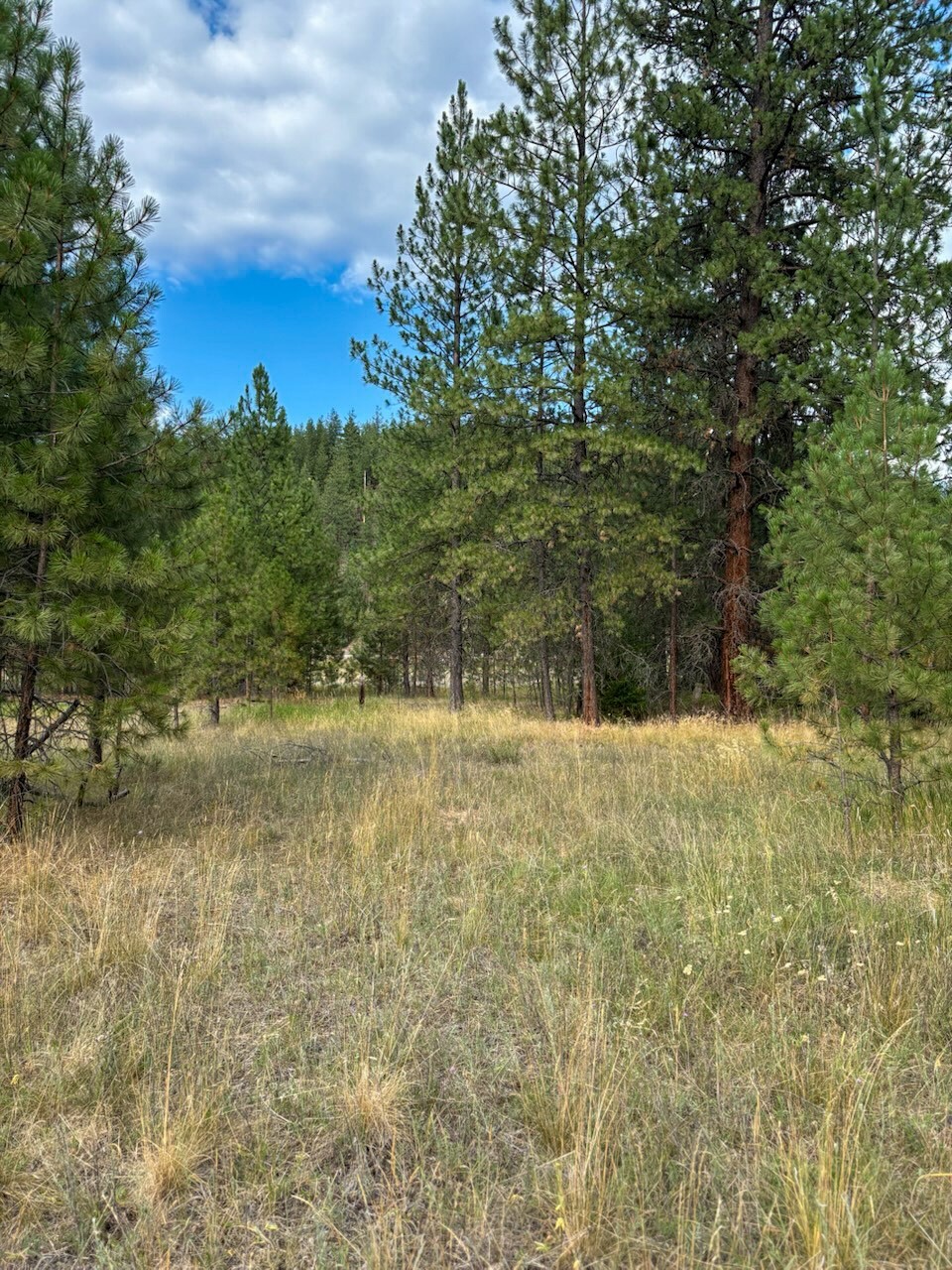 Property Photo:  8059 Mullan Road E  MT 59872 