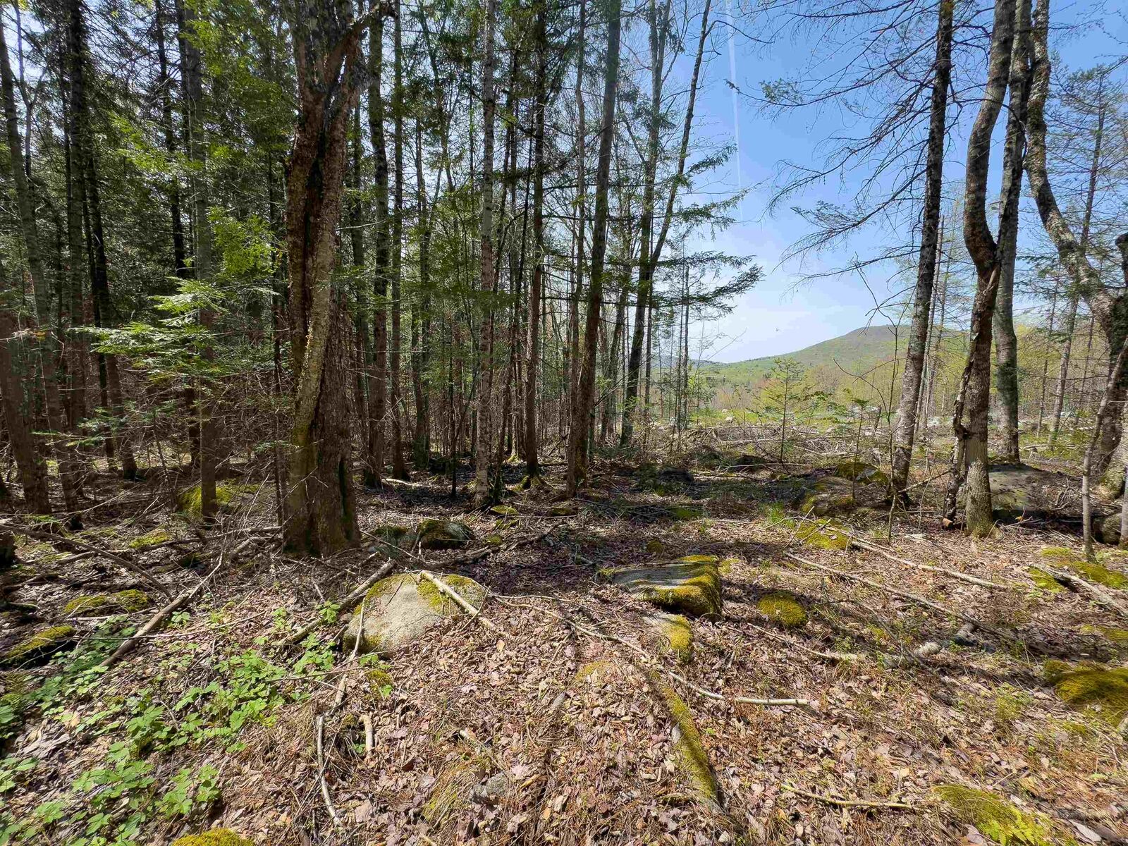 Property Photo: Lot 4 Oregon Road VT 05824