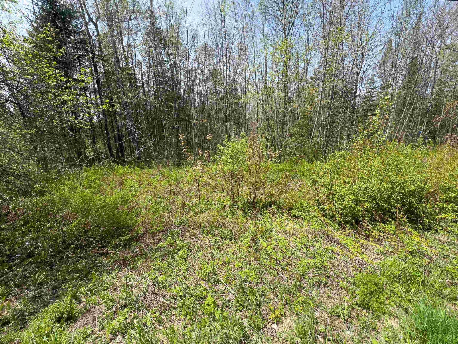 Property Photo:  Lot 4 Oregon Road  VT 05824 