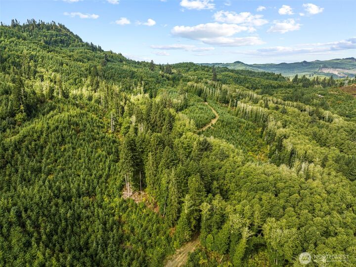 Property Photo: 0 Lot B State Route 4 Highway WA 98674